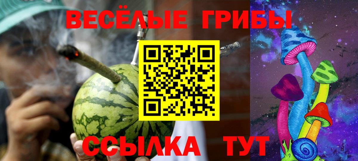 Новодвинск  Галлюциногенные грибы Psilocybine cubensis  Вход с VPN 